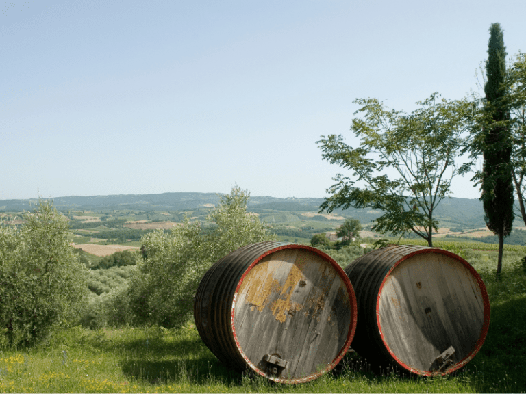Chianti: o vinho que reflete a diversidade da Toscana