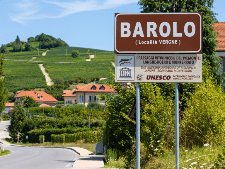Nebbiolo: a joia das neblinas do Piemonte