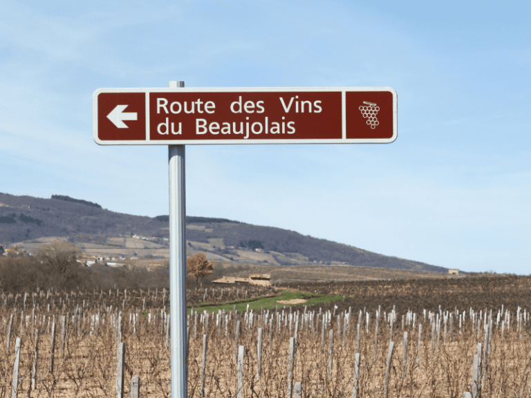 Beaujolais prova que nem todo vinho francês precisa ser sério ou austero