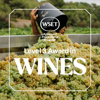 WSET® NÍVEL 3 EM VINHOS